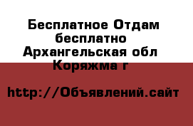 Бесплатное Отдам бесплатно. Архангельская обл.,Коряжма г.